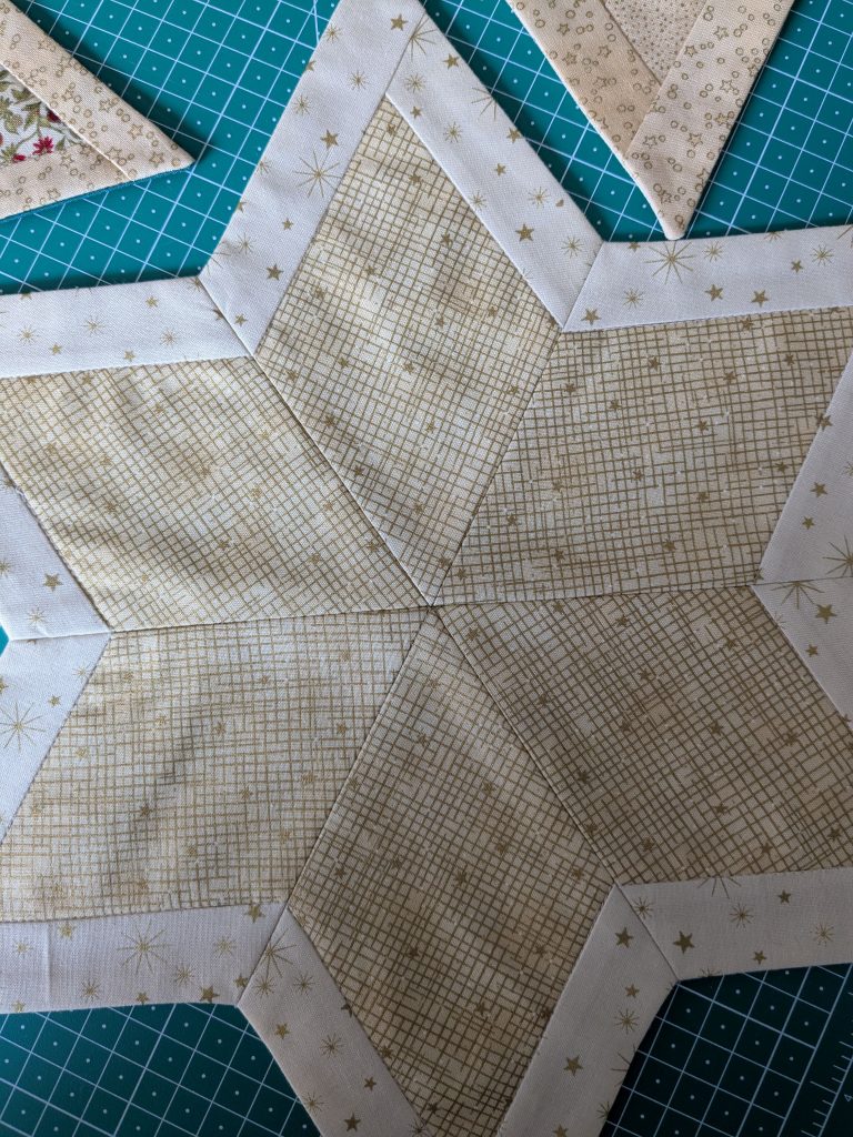 PXL 20250703 152451136 Weihnachtsstern 3 Patchwork scaled