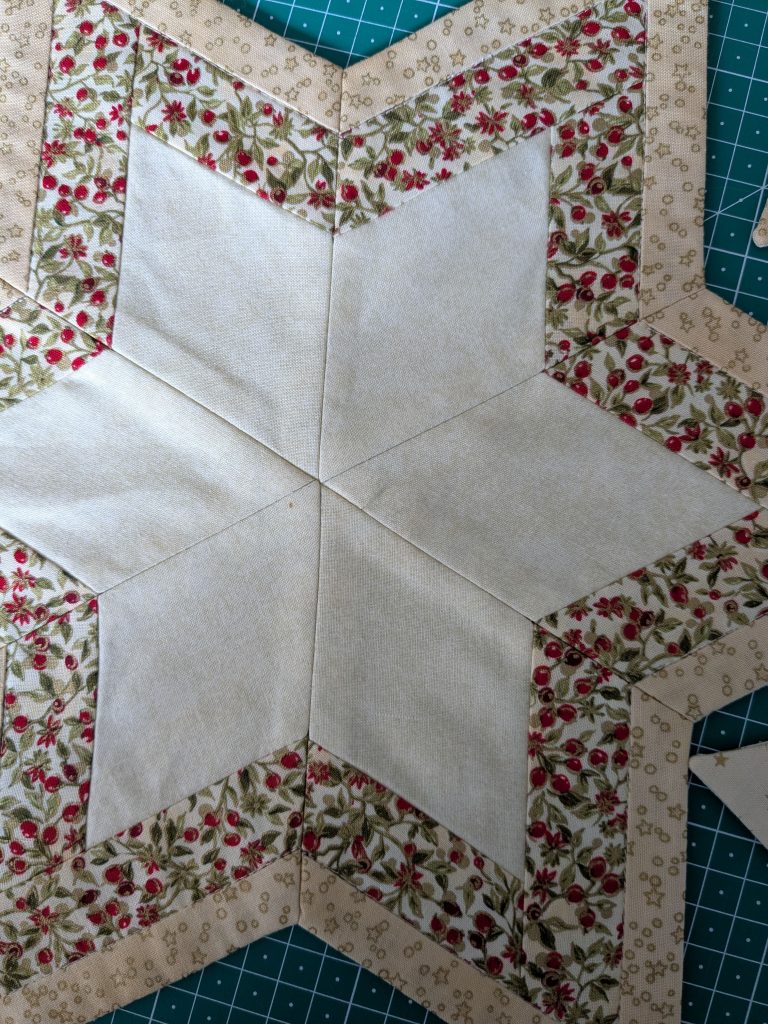 PXL 20250703 152500089 Weihnachtsstern 2 Patchwork scaled