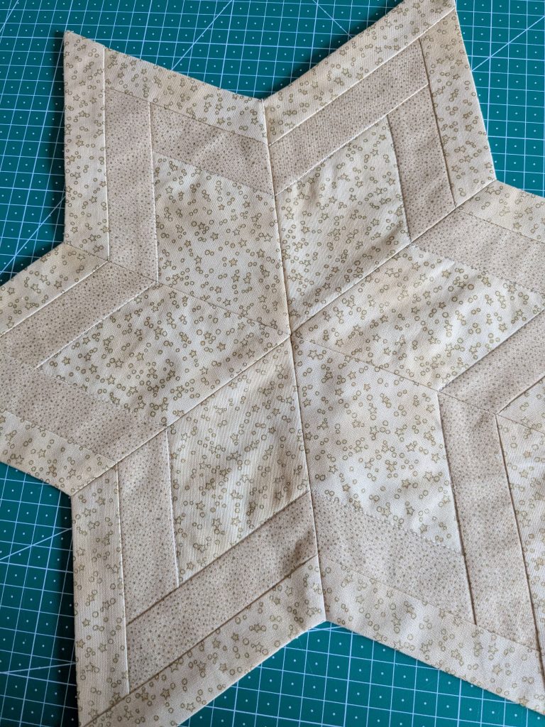 PXL 20250703 152510622.MPWeihnachtsstern 1 Patchwork scaled